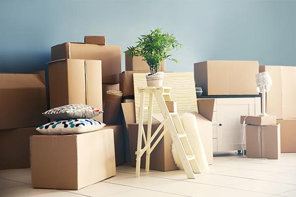 Vinayak Packers and Movers 